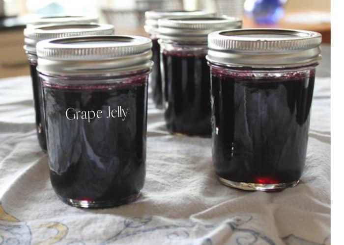 Can Dogs Eat Jelly? (The Toxic Truth About Sugar In Jellies) 2 grape jelly in a cup
