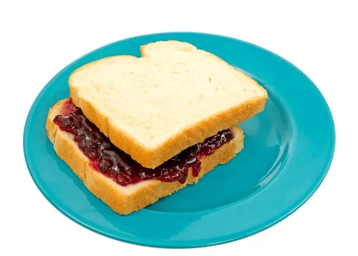 peanut butter and jelly sandwich on a blue plate