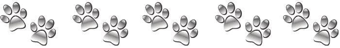 The Protective Chinese Red Dog Breed ( Laizhou Hong ) 19 10 gray pawprints