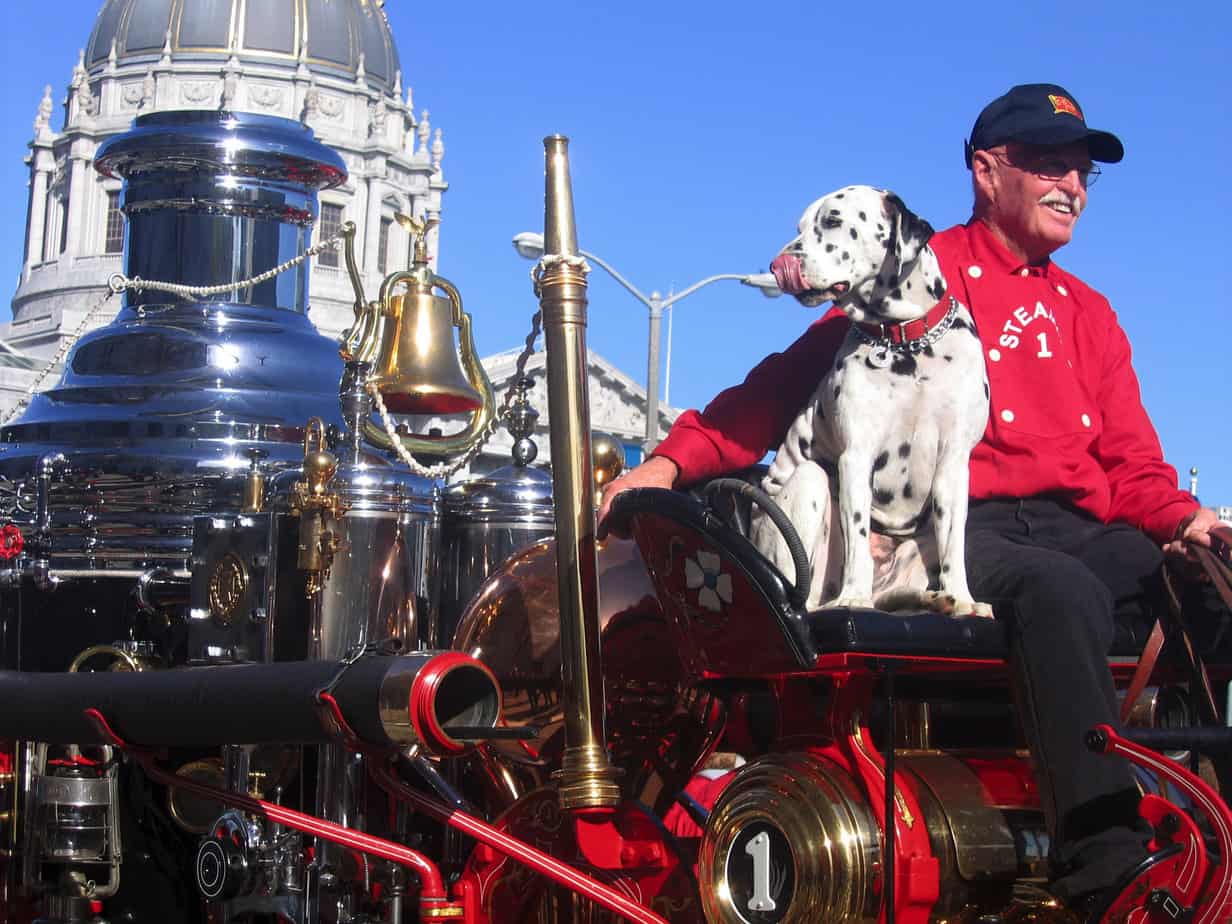 Why Are Dalmatians Fire Dogs? 3 dalmatian riding on an old firetruck carriage