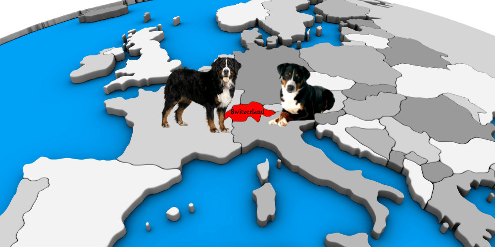 2 Switzerland dog breeds on top of world map