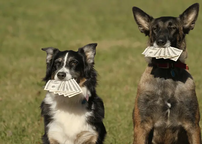 15 Reasons Why (Some) People Hate Dogs 10 2 dogs holding money in their mouths