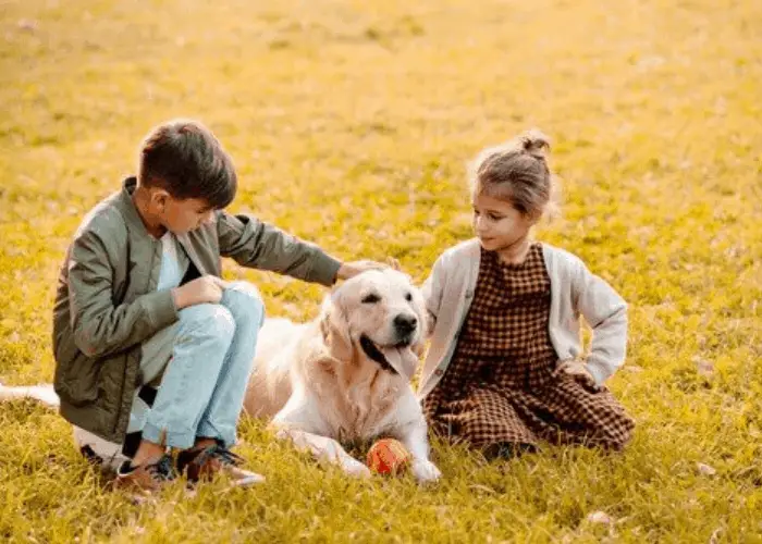 Are Golden Retrievers GOOD Guard Dogs? 6 2 kids patting a Golden retriever in the park