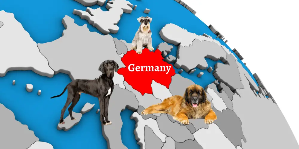 what are the rules for keeping a german hound in germany