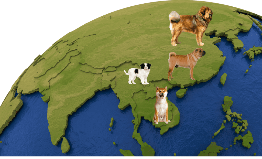19 Most Popular Asian Dog Breeds ( With HD Photos ) 1 4 Asian dog breeds standing on the globe
