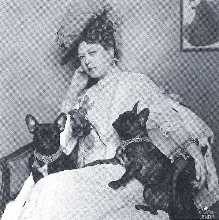 French Bulldog Complete Information 6 Anna-Maria Sacher with her French bulldogs in 1908