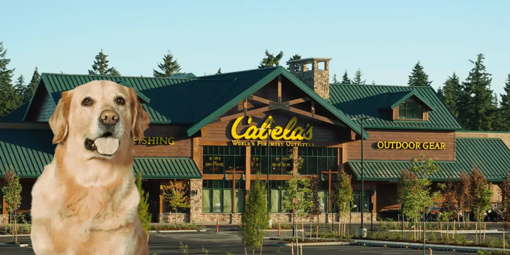Are Dogs Allowed in Cabela’s? ( Are They Dog Friendly )