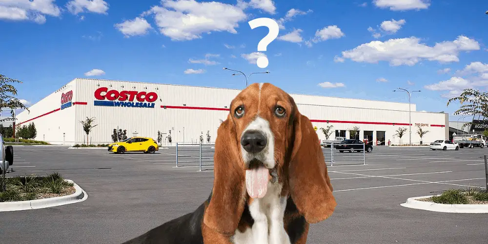 can i take dogs into costco