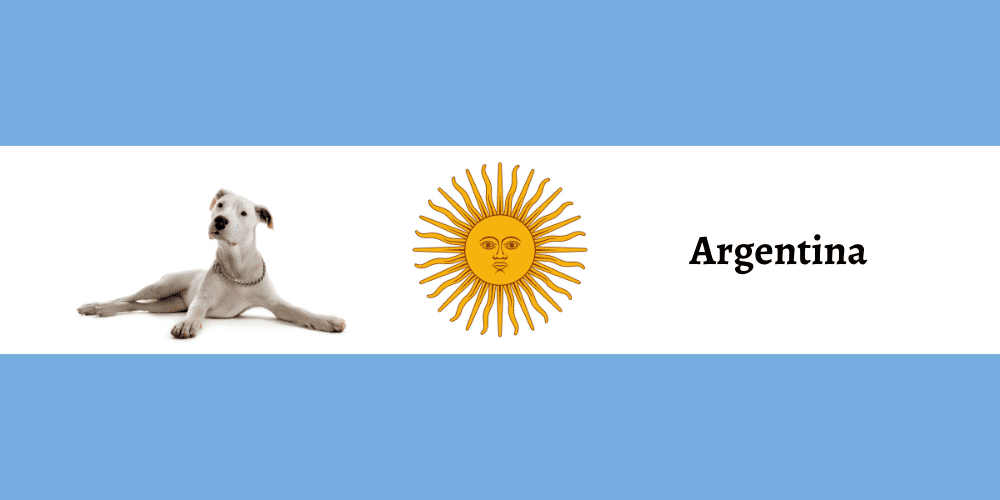 Argentinian Dog breeds illustration