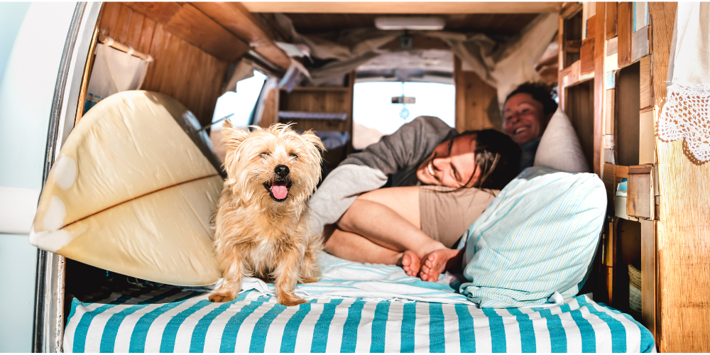 Benefits of Traveling with Your Dog blog post featured image