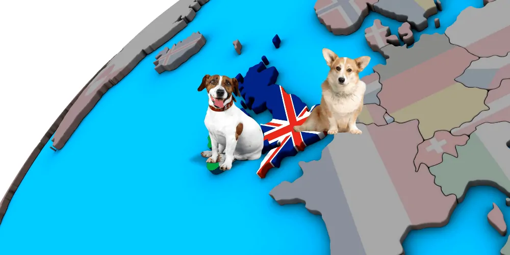 2 British Dog Breeds sitting on top of the globe