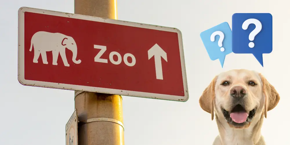 Can Dogs Go to the Zoo? Dog Breeds FAQ