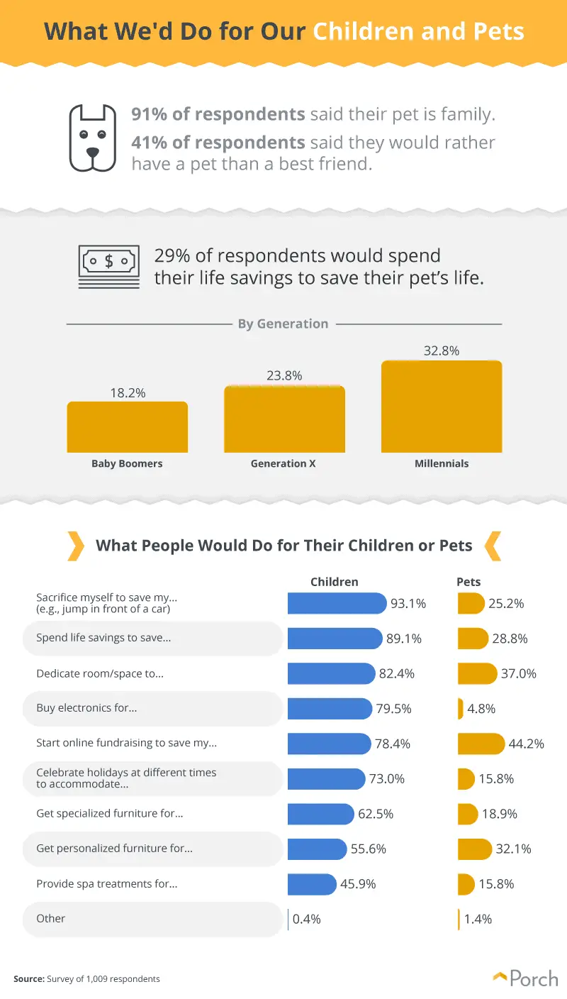 Children or pets infographic #6