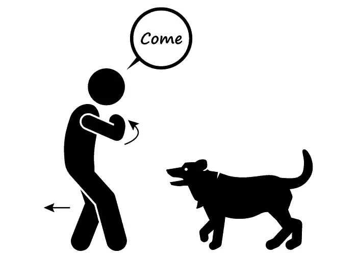 "Come" dog command illustration