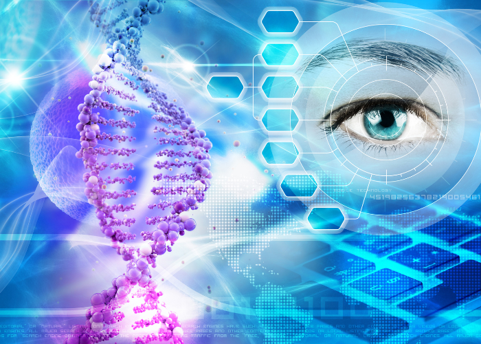 DNA helix and human eye