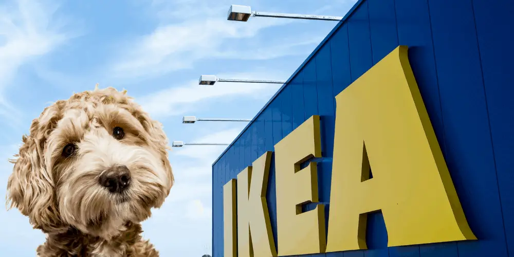 do ikea allow dogs