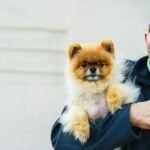 Person gently holding a small dog for health guidance