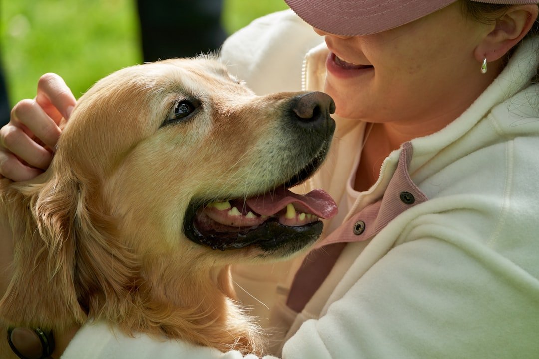 Happy dog owner embracing a golden retriever outdoors in clear daylight