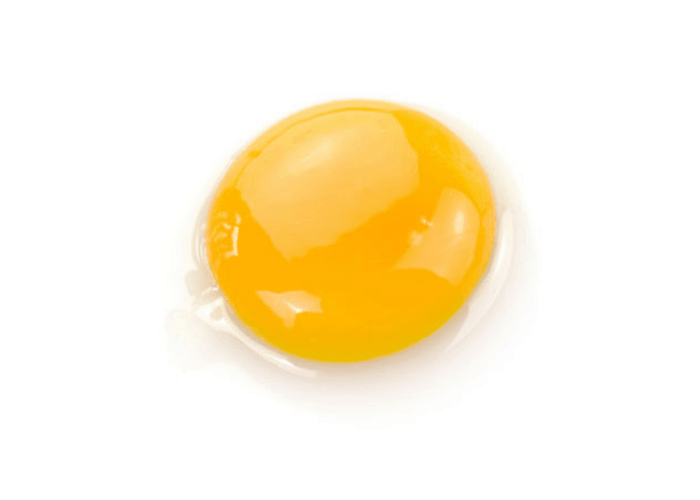 Egg Yolk on white background