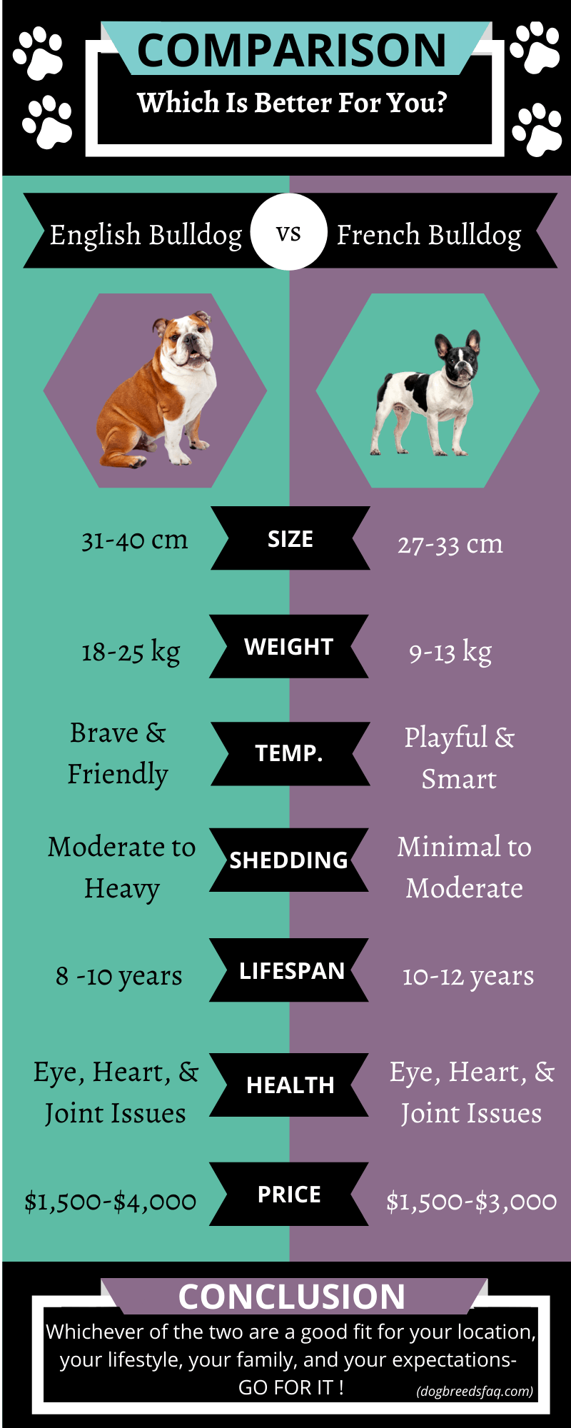 English Bulldog vs French Bulldog Comparison Infographic