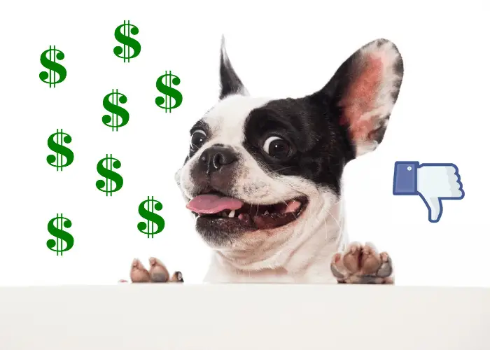 27 DETAILED French Bulldog Pros and Cons ( My Experience ) 23 Funny French bulldog with dollar and dislike sign
