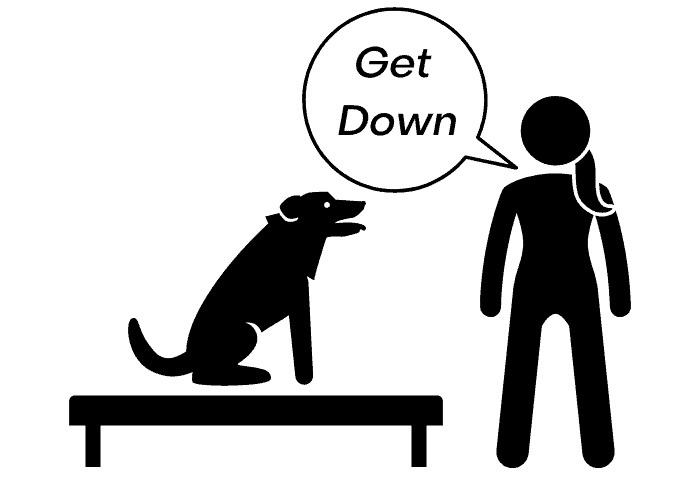 Top 10 Dog Commands in Arabic (With Audio) 5 Get Down dog command illustration