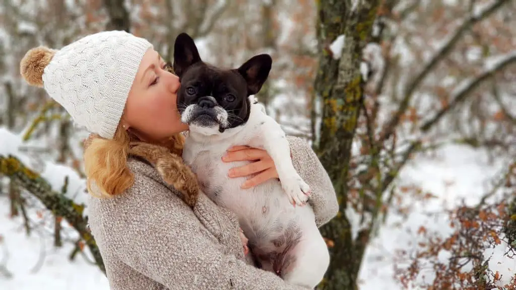 27 DETAILED French Bulldog Pros and Cons ( My Experience ) 6 Girl kissing a french bulldog in the snow