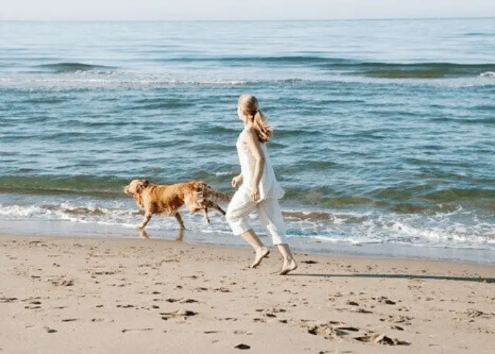 Is a Golden Retriever a Good First Dog? 8 Golden retriever exercising with lader owner on the beach