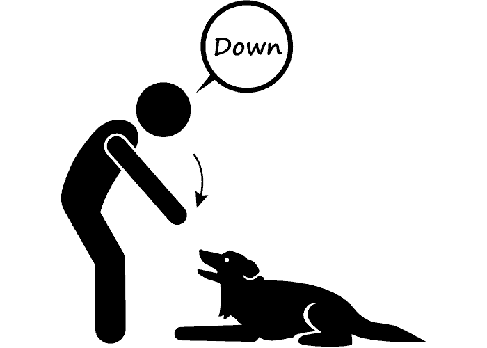 Top 10 Dog Commands in Arabic (With Audio) 6 "Lay down" dog commands illustration