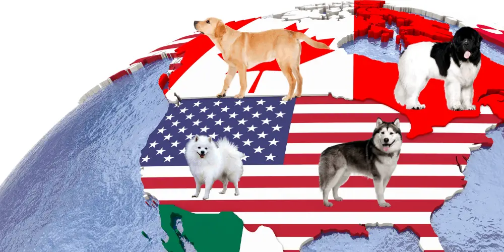 North American Dog Breeds illustration
