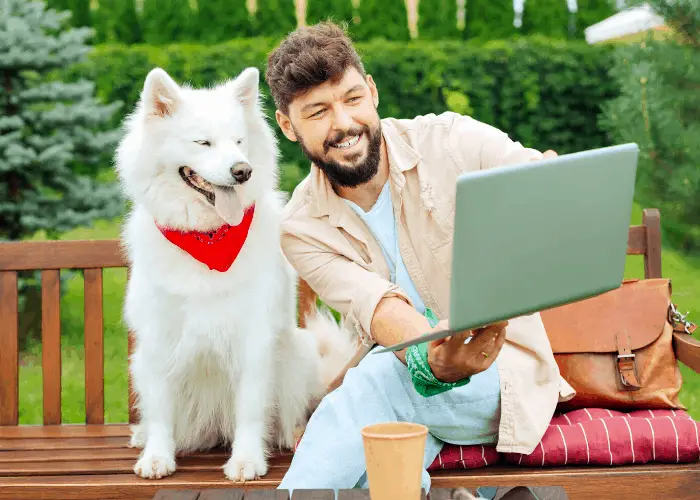 Propietario mostrando su husky siberiano blanco en línea con amigos 