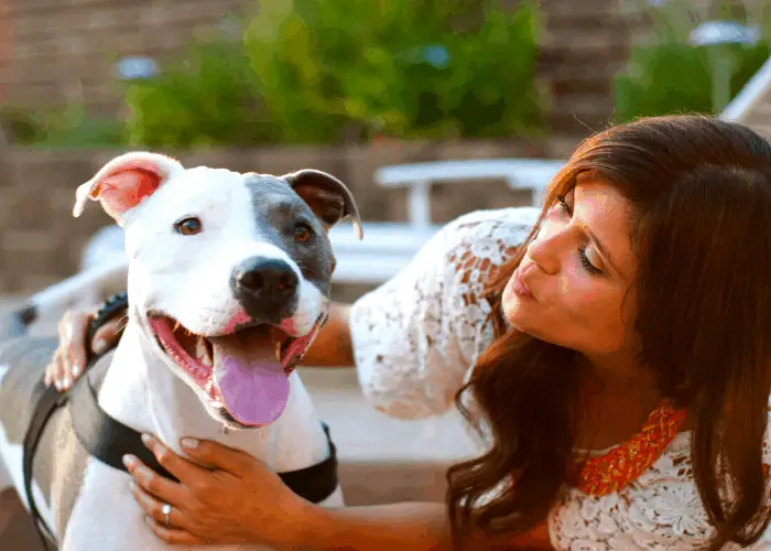 17 Pit Bull Pros And (Cons) That I Learned From My Beloved Pet 22 Pit Bull Lying and its lady owner
