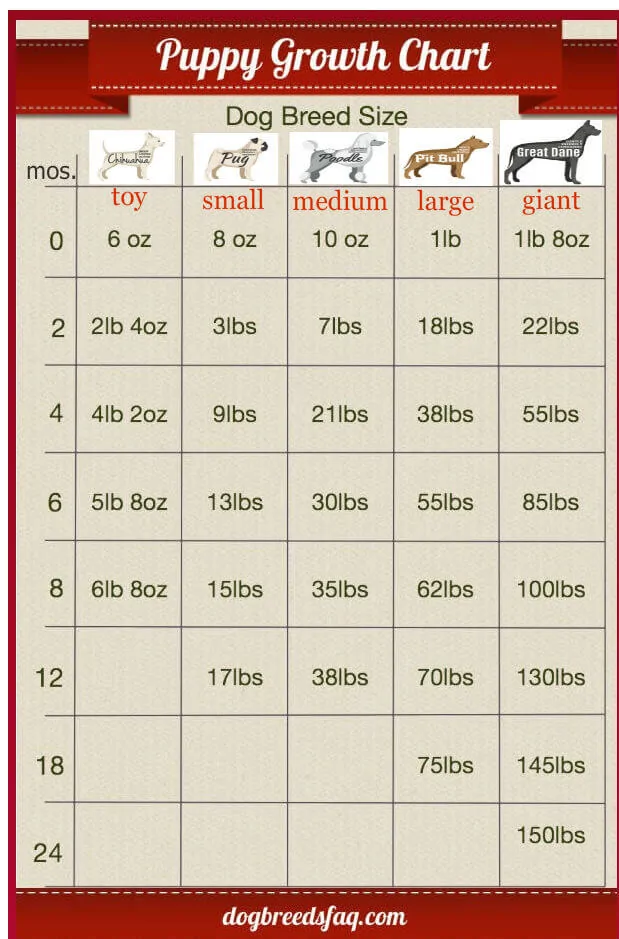 Terrier Weight Chart