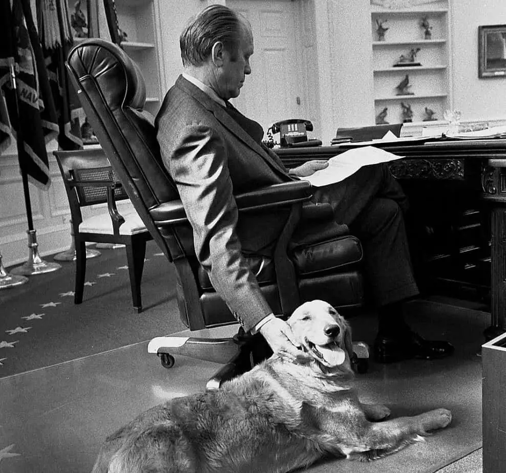 Golden Retriever Complete Information 12 President Ford and his golden retriever named Liberty