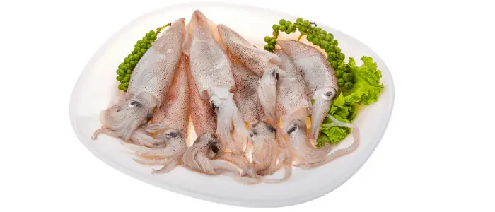 Raw calamari with peas and lettuce