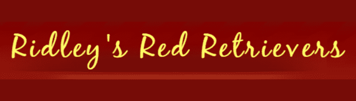 Top 10 Red Golden Retriever Puppy Breeders in the USA 6 Ridleyâs Red Retrievers logo