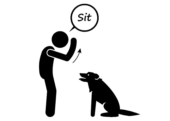 "Sit" dog command illustration
