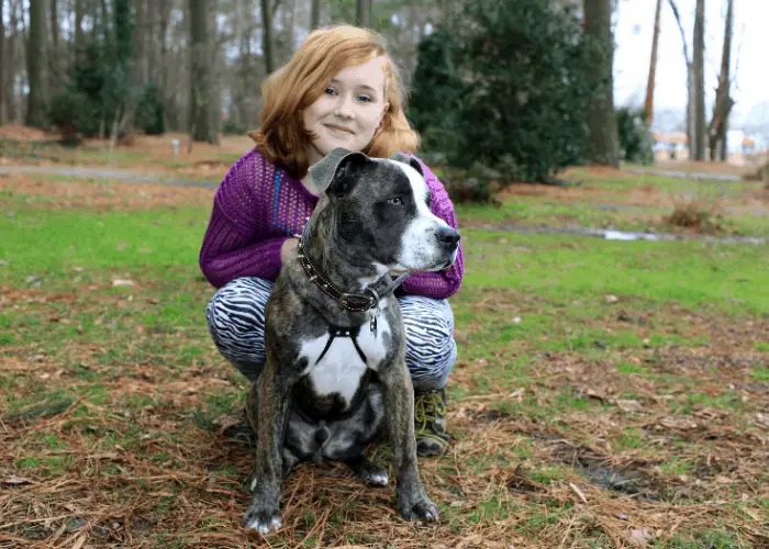 17 Pit Bull Pros And (Cons) That I Learned From My Beloved Pet 10 beautiful pit bull terrier with a girl at the park