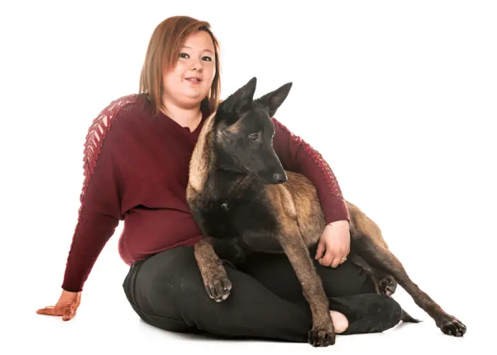 Are Belgian Malinois Good with Other Dogs? 8 belgian malinois with its lady owner
