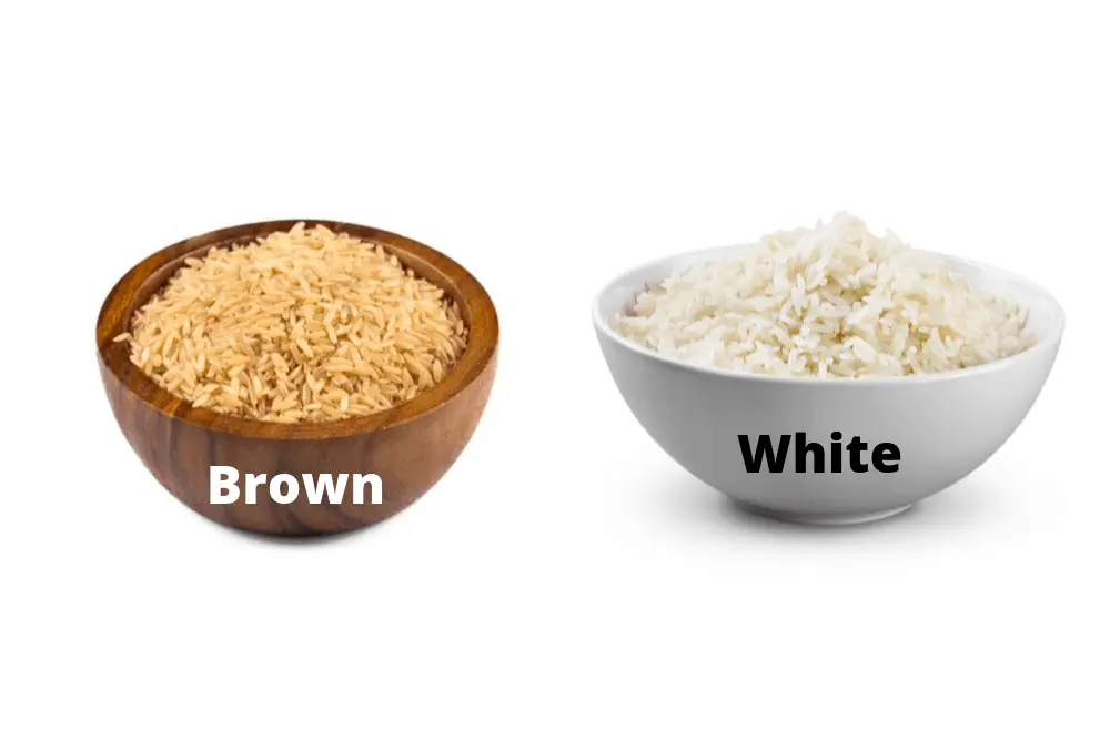 is white or brown rice better for dogs