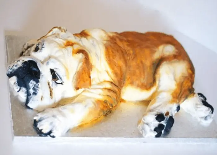 cakedoggydog.com bulldog cake