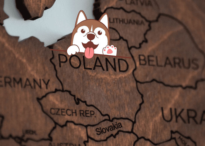 25 Dog Commands in Polish ( With Audio ) 4 cute dog on a poland map