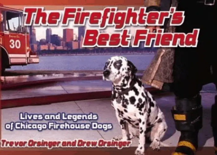 dalmatian dog in a Chicago fire station magazine cover