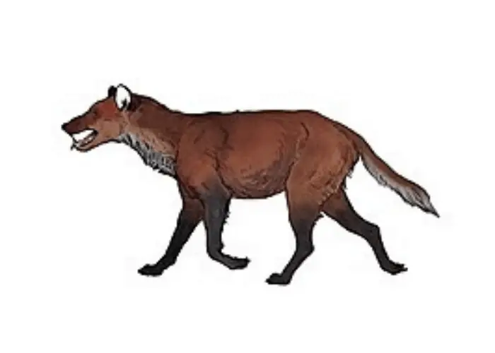 13 Scariest and Largest Wolves in the World 12 dire wolf