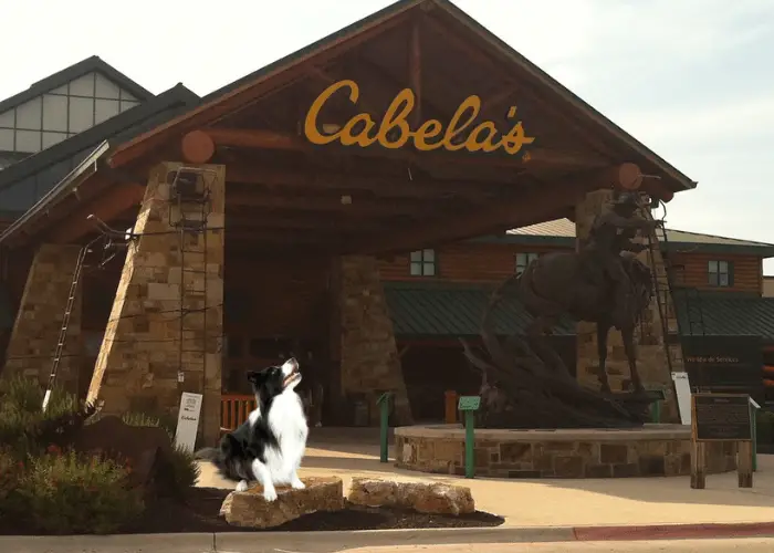 Are Dogs Allowed in Cabela’s? 4 dog in front of cabela's store