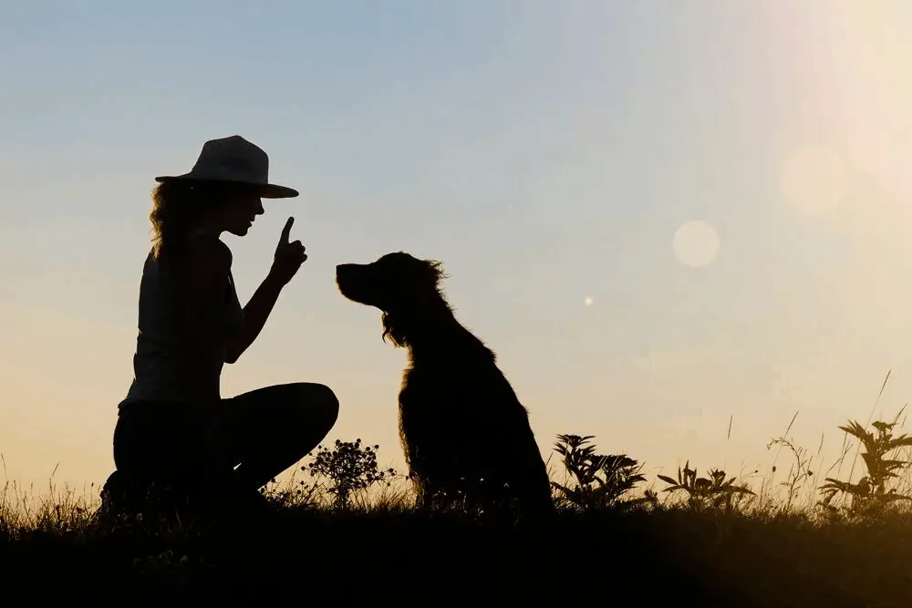 15 Reasons Why (Some) People Hate Dogs 7 dog training silhoutte