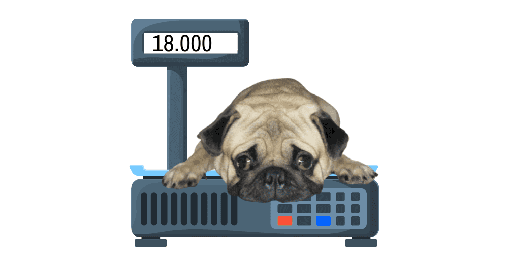 dogs weighing under 30 pounds article featured image