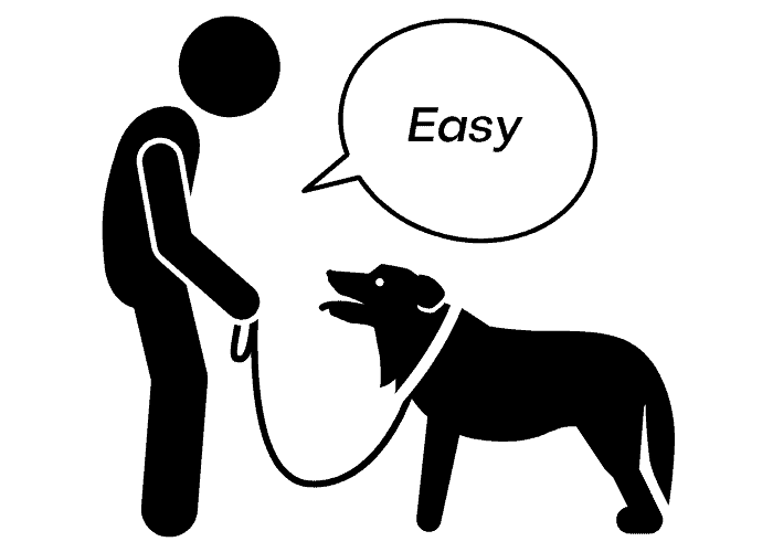 10 Dog Commands in Chinese ( With Audio ) 11 "easy" dog commands illustration