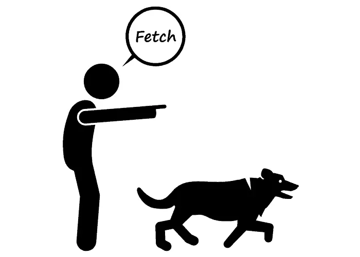 "fetch" dog commands illustration