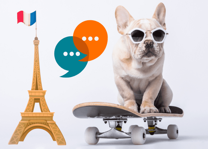 french bulldog on a skateboard with miniature eiffel tower on the background 